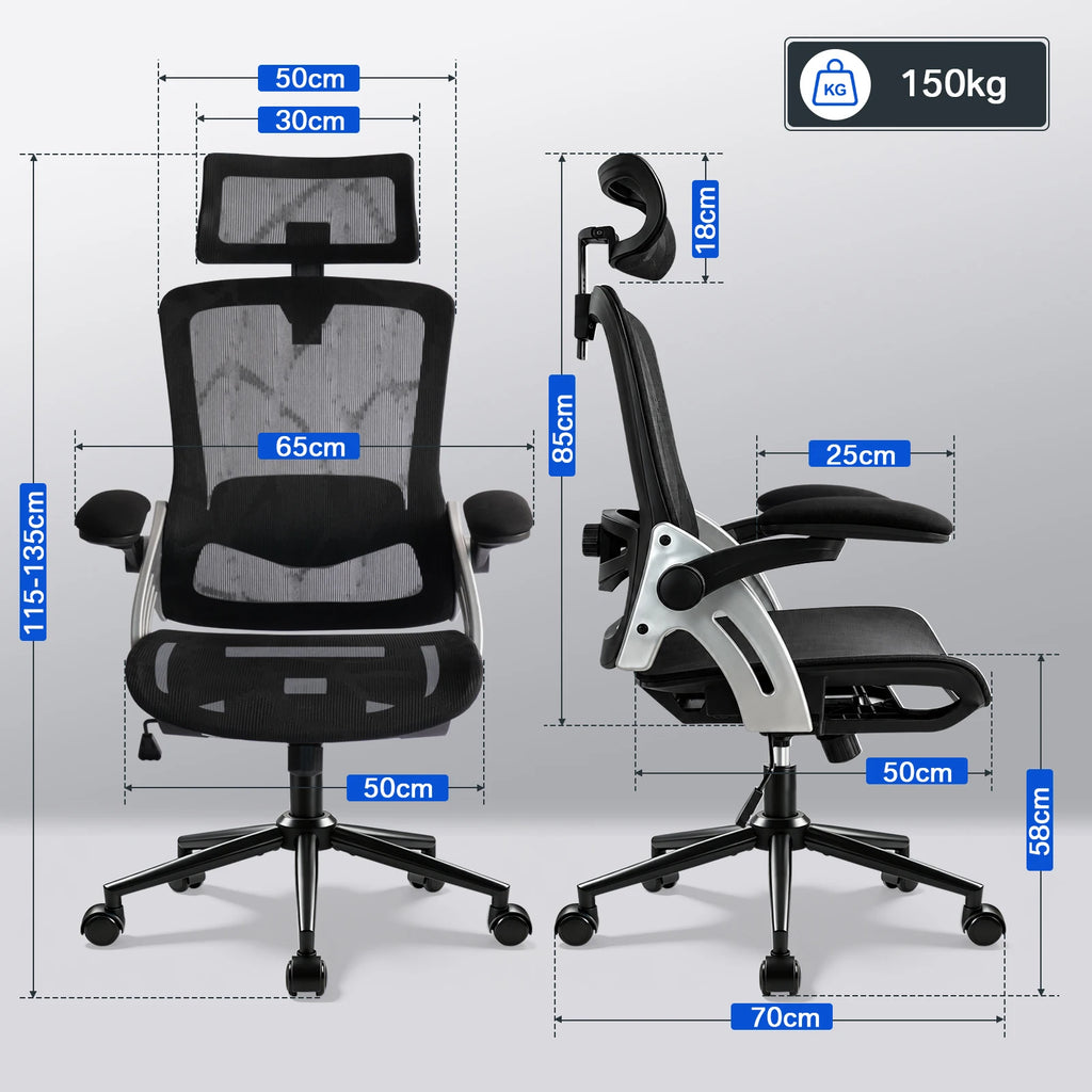 Ergosed North - Ergonomski pisarniški stol