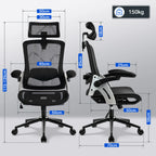 Ergosed North - Ergonomski pisarniški stol