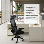 Ergosed Basic01 – Ergonomski Pisarniški Stol - Ergosed Ergonomska in Ortopedska oprema