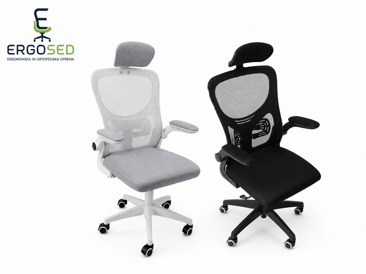 Ergosed Basic01 – Ergonomski Pisarniški Stol