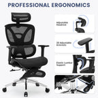 Ergosed PROcut - Ergonomski pisarniški stol - Ergosed Ergonomska in Ortopedska oprema